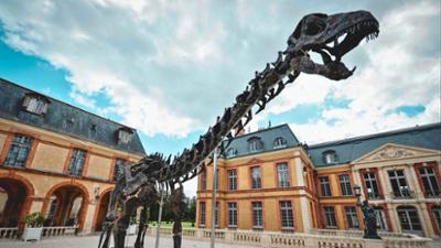 Geheimnisse der Jurassic-Saurier: (1/2)