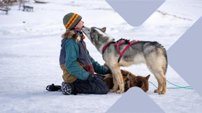 Grönland - Leben mit den Inuit: Unterwegs mit eigenem Hundeschlitten