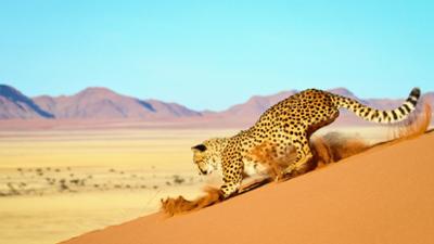 Hüter der Natur: (3/3) - Afrika