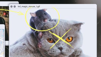 Kings of Scam: Folge 3: Katz und Mouse