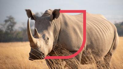 Mission Artenschutz: (S2024/E33)