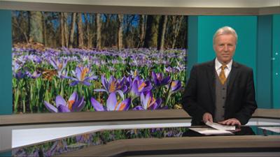 phoenix der tag: um 17.00 Uhr