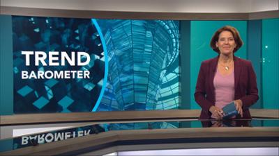 phoenix der tag: um 23:00 Uhr