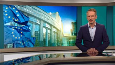 phoenix der tag: um 23:00 Uhr