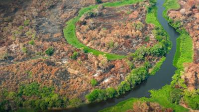 phoenix plus: Letzte Chance für das Klima? · Konferenz im Regenwald
