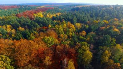 phoenix vor ort: Nachhaltig bewirtschafteter Wald ist gelebter Klimaschutz phoenix vor ort: Nachhaltig bewirtschafteter Wald ist gelebter Klimaschutz