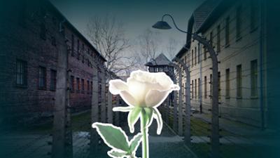 unter den linden: Ritualisiertes Gedenken? - Erinnerungskultur in der Kritik