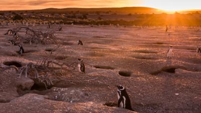 Wildes Patagonien: · Das Ende der Welt