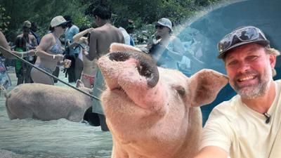 Galileo: Schwimmende Schweine in der Karibik