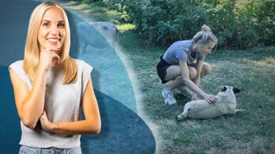 Galileo: Gratis-Urlaub in Frankreich: Wo ist der Haken?