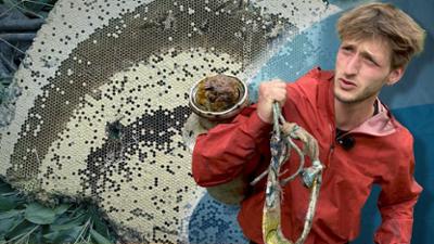 Galileo: Dangerous Food: Genuss auf Lebensgefahr!