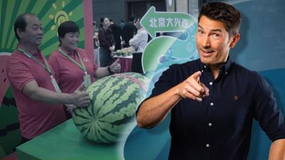 Galileo: King of Watermelon: Auf der Suche nach der dicksten Melone