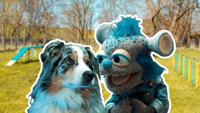 Galileo Kids: Staffel 3 Folge 4 Hol das Stöckchen, Hubble!