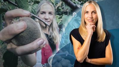 Galileo Stories: Was für Foodies - Da kommt unser Essen her!