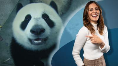 Galileo Stories: Staffel 2026 Folge 27 China extrem