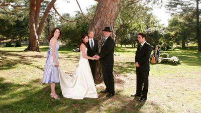 How I Met Your Mother: Staffel 2 Folge 21 Hochzeit mit Harfe