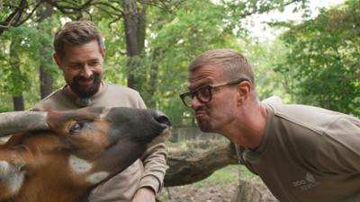 Joko & Klaas im Zoo: Bongos, Basilisken und Top 5 der Tiere