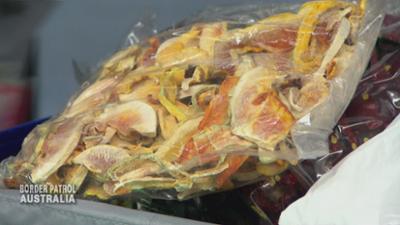 Border Patrol Australia: Entwaffnet