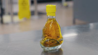 Border Patrol New Zealand - Einsatz an der Grenze: STAFFEL 15 FOLGE 002