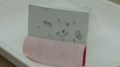 Border Patrol New Zealand - Einsatz an der Grenze: Staffel 13 Folge 3 Kanadischer Doppelgänger