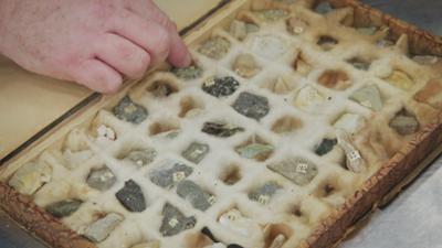 Border Patrol New Zealand - Einsatz an der Grenze: Staffel 13 Folge 9 Renitente Reisende