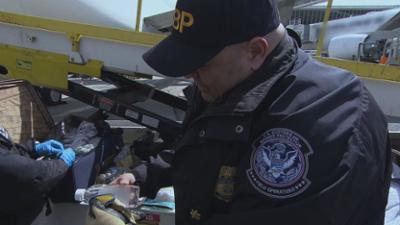 Border Patrol USA - Einsatz an der Grenze: Staffel 2 Folge 9 Illegaler Rum