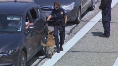 Border Patrol USA - Einsatz an der Grenze: Staffel 2 Folge 17 Pinkfarbenes aus Vietnam