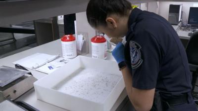 Border Patrol USA - Einsatz an der Grenze: Staffel 3 Folge 3 Der italienische Tätowierer