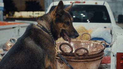 Border Patrol USA - Einsatz an Mexikos Grenze: Staffel 6 Folge 1 Konflikt unter Geschwistern