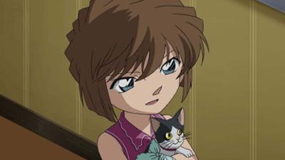 Detektiv Conan: Von rechts nach links: Winkekatzen