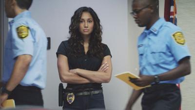 Hawaii Five-0: Staffel 9 Folge 2 Der Mann, der vom Himmel fiel