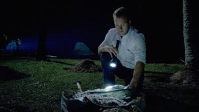 Hawaii Five-0: Staffel 5 Folge 3 Endloser Sommer
