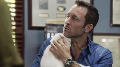 Hawaii Five-0: Staffel 9 Folge 21 Katzenjammer