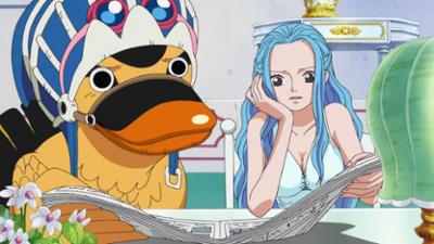 One Piece: Eine Nachricht geht um die Welt! Die Freunde bleiben in Verbindung