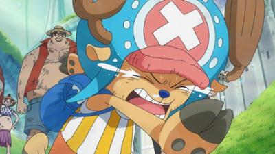 One Piece: Die Marine greift ein. Das Ziel ist die Strohhutbande