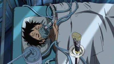 One Piece: Landung auf der Insel der Frauen. Ruffy's grausames Erwachen in der Realität!