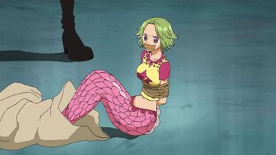 One Piece: Staffel 2 Folge 394 Rettet Kamy!