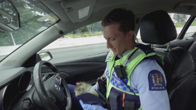Police Force - Einsatz in Neuseeland: Staffel 20 Folge 8 Tote Winkel