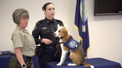 Schmugglern auf der Spur: Staffel 5 Folge 2 In der Hitze des Gefechts