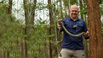 Snake Security - Schlangenalarm in Australien: Kopfüber im Gully Snake Security - Schlangenalarm in Australien: Kopfüber im Gully
