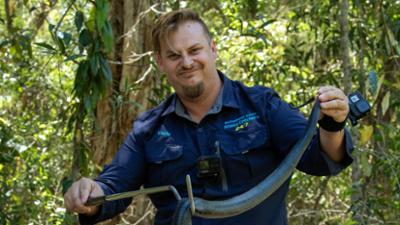Snake Security - Schlangenalarm in Australien: Gefährlicher Fehlgriff Snake Security - Schlangenalarm in Australien: Gefährlicher Fehlgriff