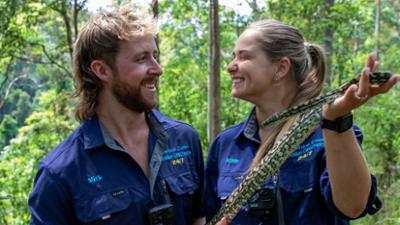 Snake Security - Schlangenalarm in Australien: Schlangensuche am Wegesrand Snake Security - Schlangenalarm in Australien: Schlangensuche am Wegesrand