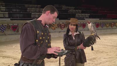 Storage Wars: Staffel 2 Folge 27 Bogarts Baby