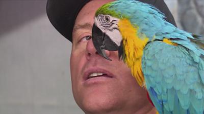 Storage Wars: Staffel 2 Folge 26 Verrückter Vogel