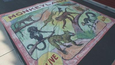 Storage Wars: Staffel 2 Folge 10 Das große Los?