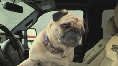 Storage Wars: Staffel 10 Folge 16 Trauer in Arcadia