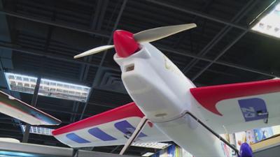 Storage Wars: Staffel 2 Folge 20 Von der Rolle