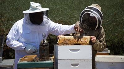 Storage Wars: Staffel 15 Folge 10 Kein Honigschlecken