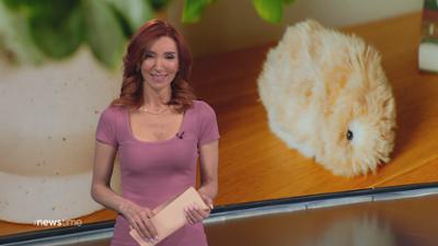 :newstime: vom 12. Oktober 2026 | 18:00