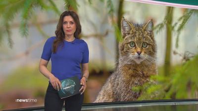 :newstime: vom 24. April 2026 | 18:00